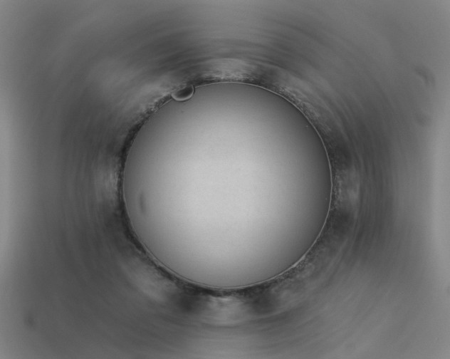 X0000113610309200909181424