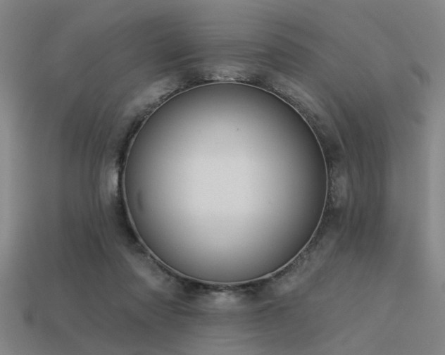 X0000113610310200909181424