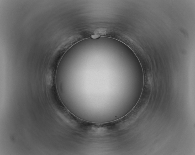 X0000113610311200909181424