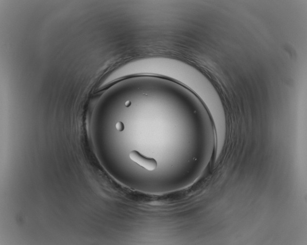 X0000113610312200909181424