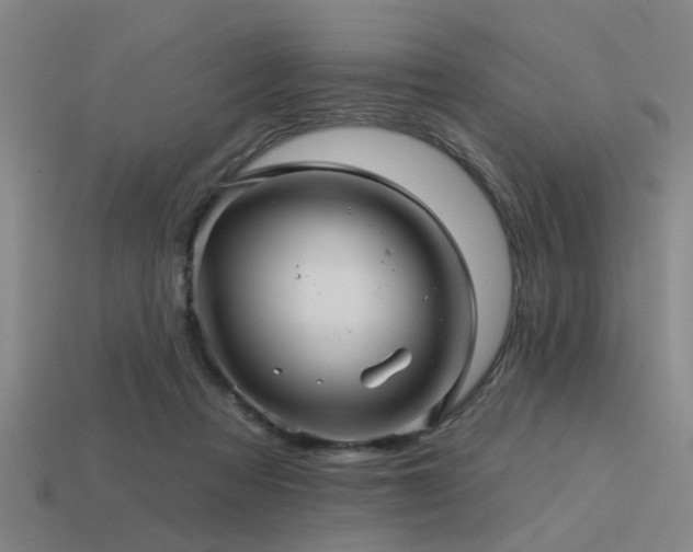 X0000113610313200909181424