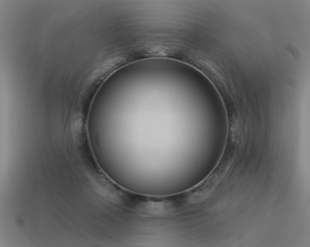 X0000113610314200909181424