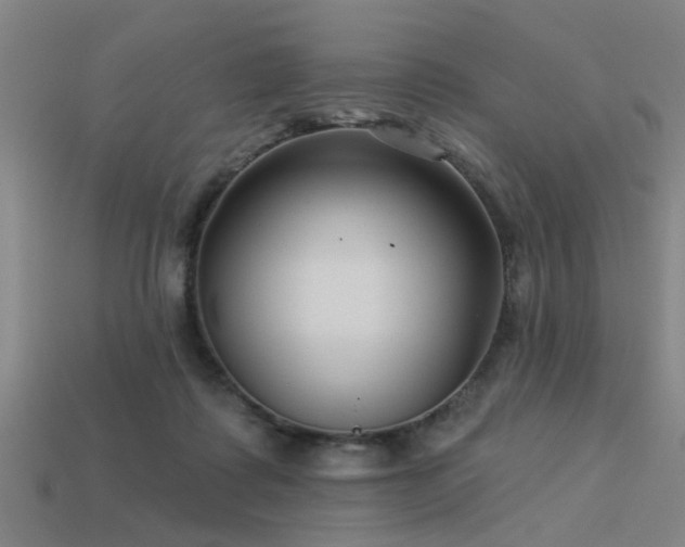 X0000113610315200909181424