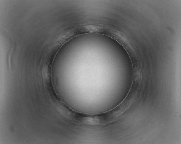 X0000113610317200909181424