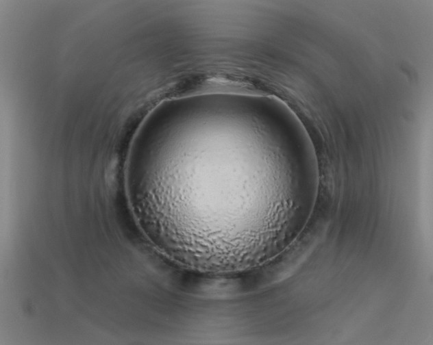 X0000113610319200909181424