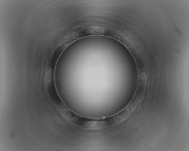 X0000113610323200909181424