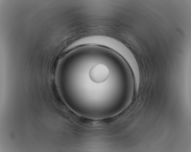 X0000113610324200909181424