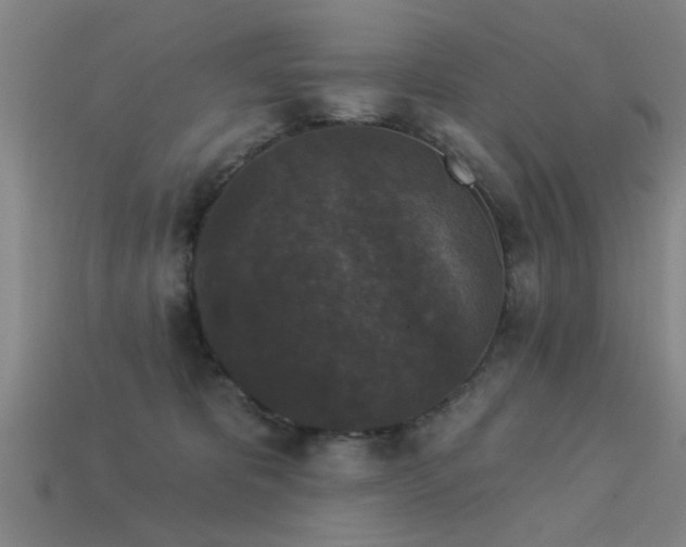 X0000113610325200909181424