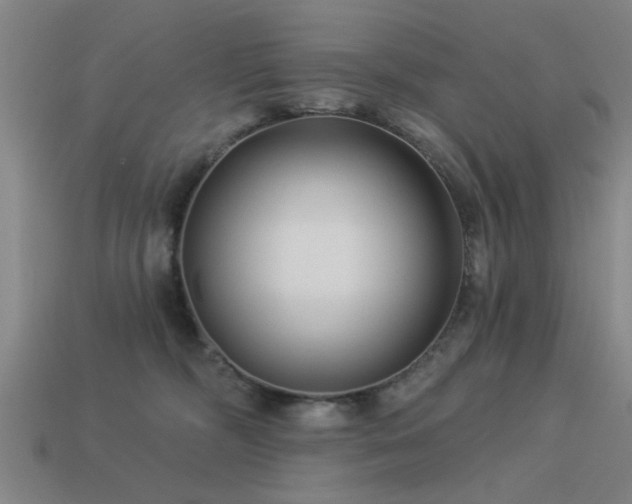 X0000113610326200909181424