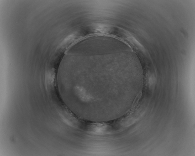 X0000113610328200909181424