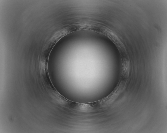 X0000113610333200909181424