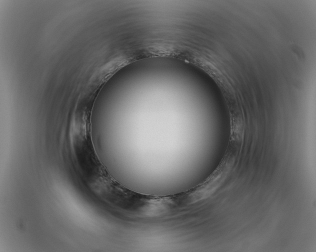 X0000113610334200909181424