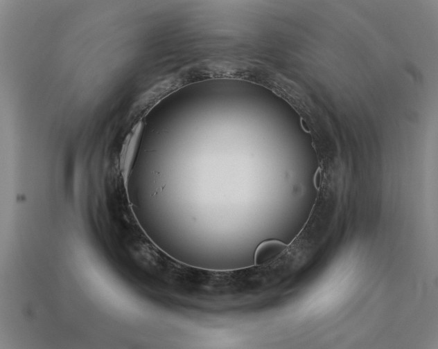 X0000113610335200909181424