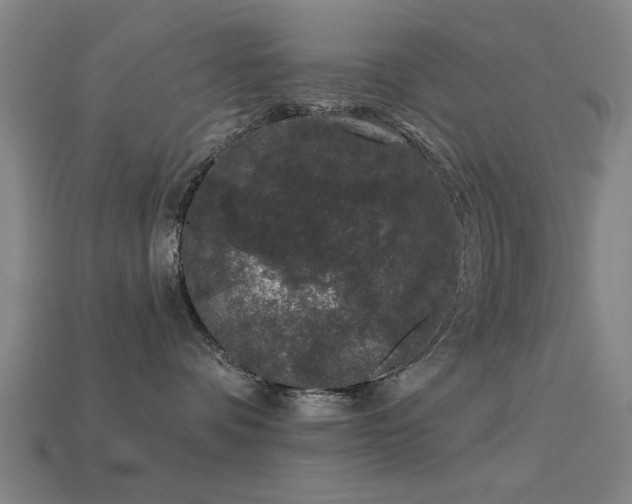 X0000113610336200909181424