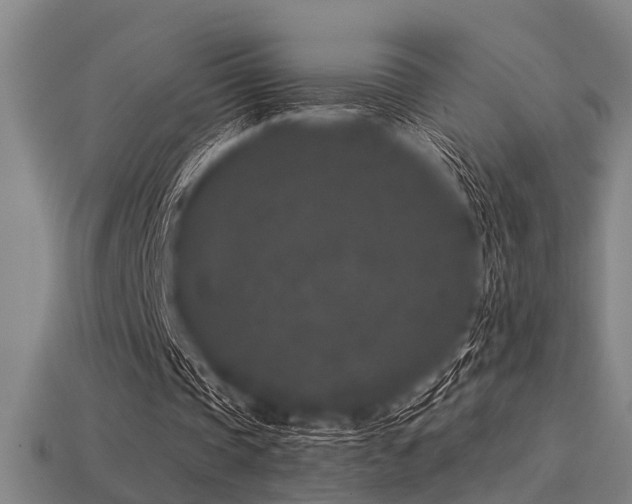 X0000113610337200909181423