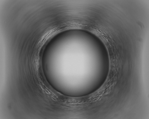 X0000113610338200909181423