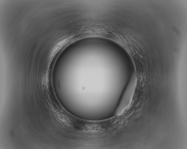 X0000113610340200909181423