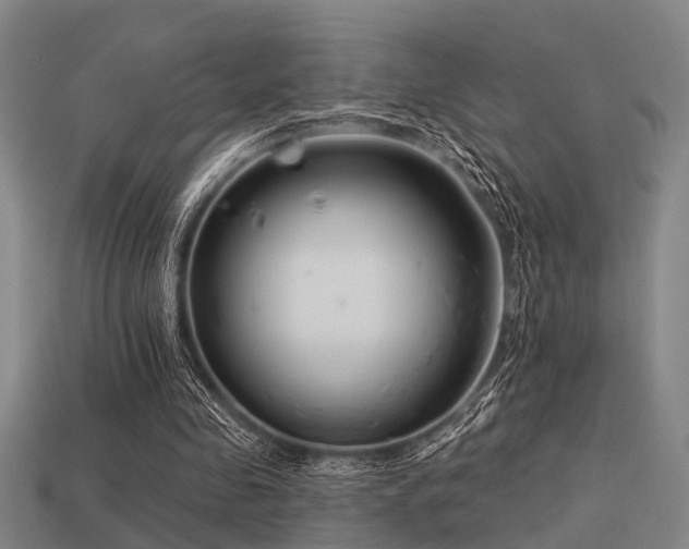 X0000113610341200909181423