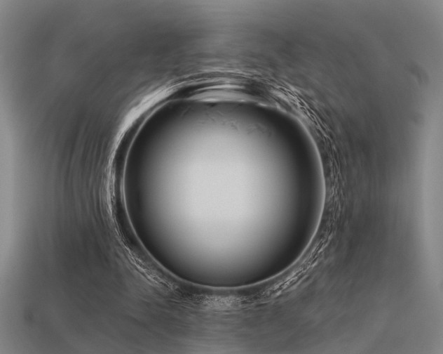 X0000113610342200909181423