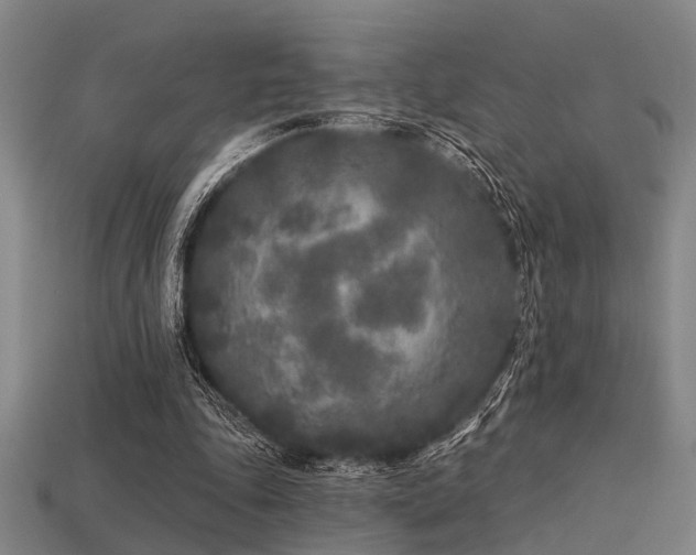 X0000113610343200909181423