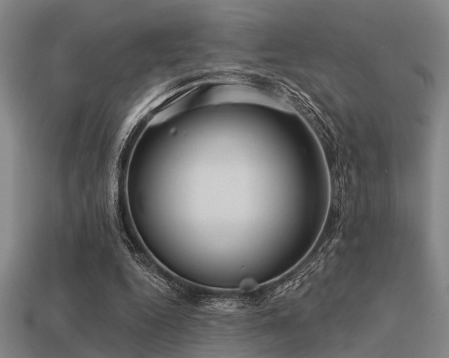 X0000113610344200909181423