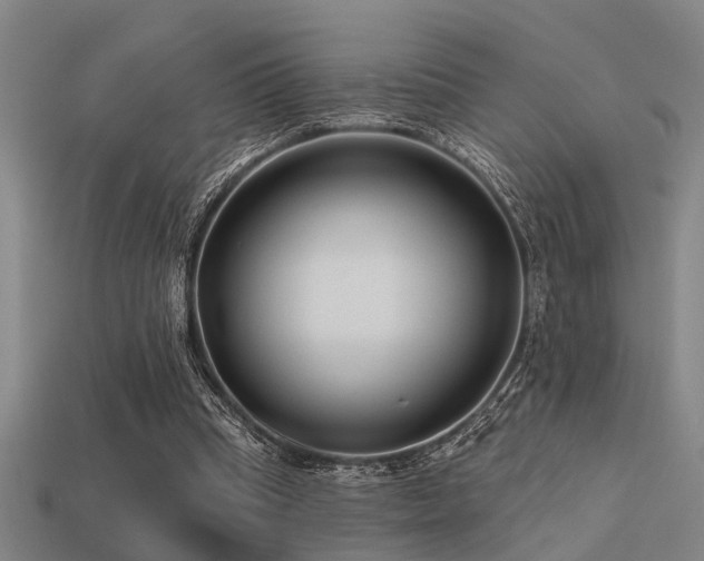 X0000113610345200909181423