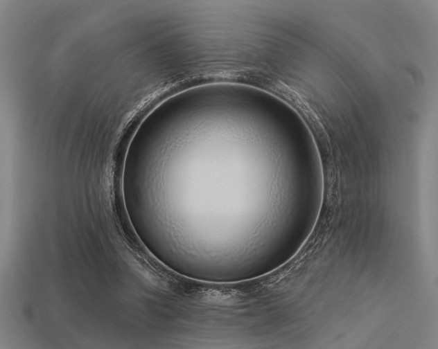 X0000113610346200909181423