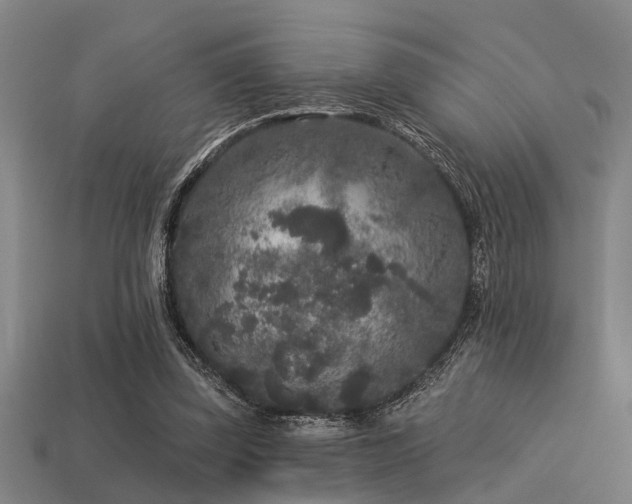 X0000113610347200909181423