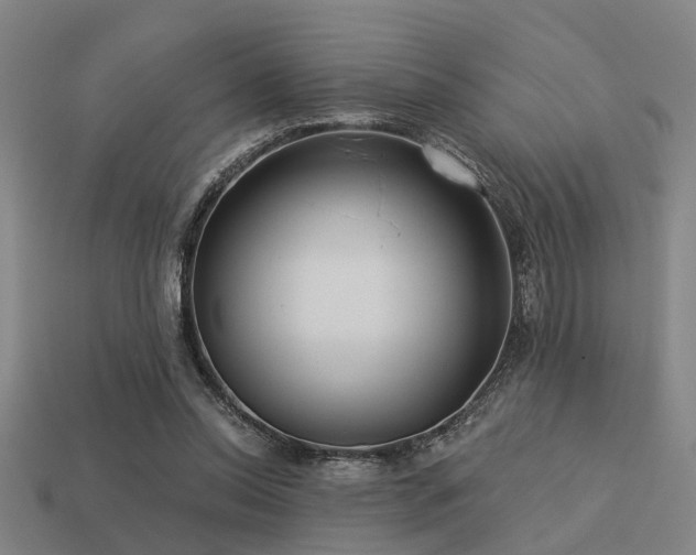 X0000113610350200909181423