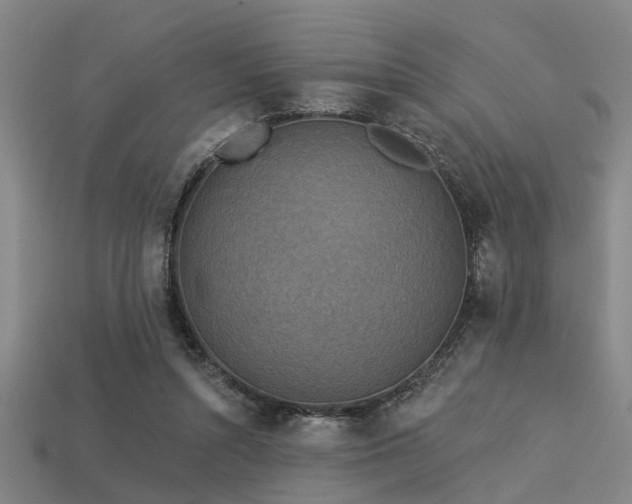 X0000113610352200909181423