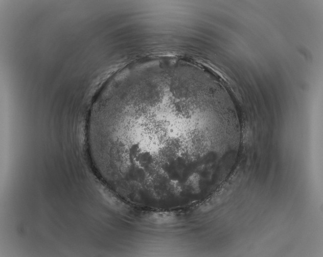 X0000113610353200909181423