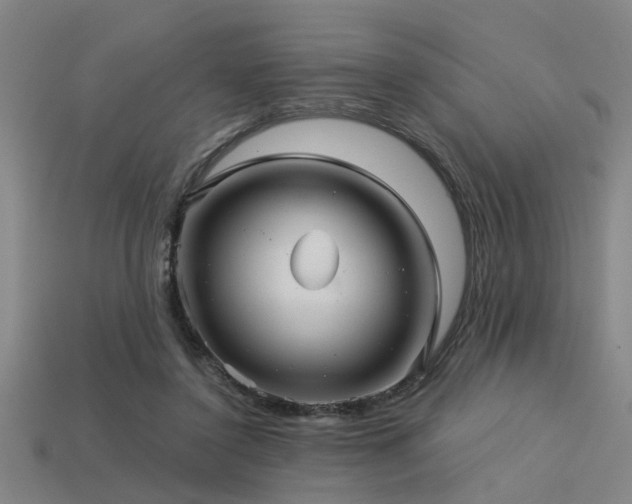 X0000113610356200909181423