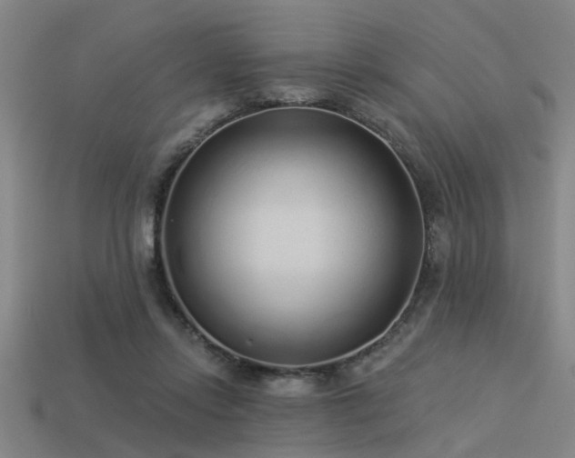 X0000113610358200909181423