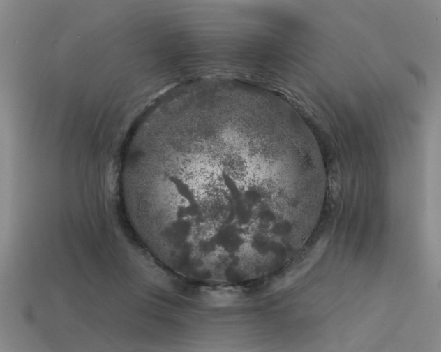 X0000113610359200909181423