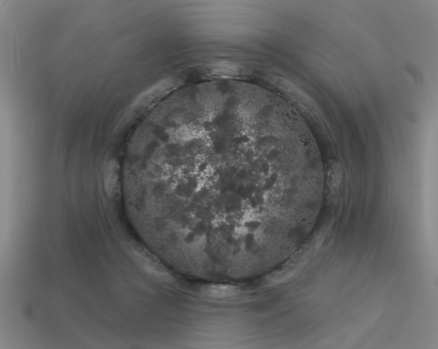 X0000113610361200909181423