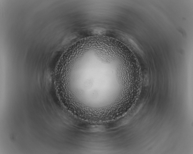 X0000113610363200909181423