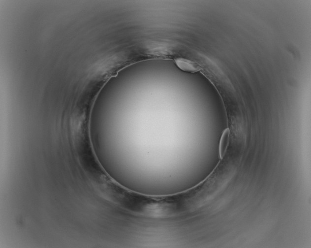 X0000113610364200909181423