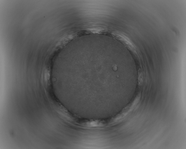 X0000113610365200909181423