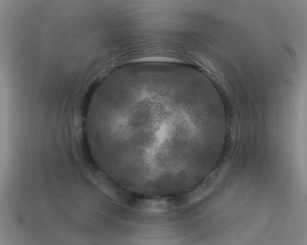 X0000113610366200909181423