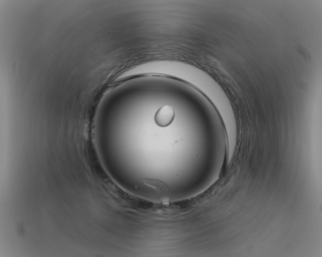 X0000113610368200909181423