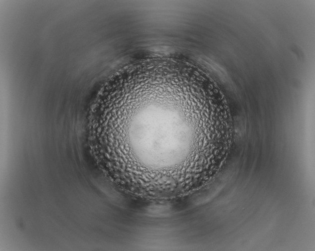 X0000113610369200909181424