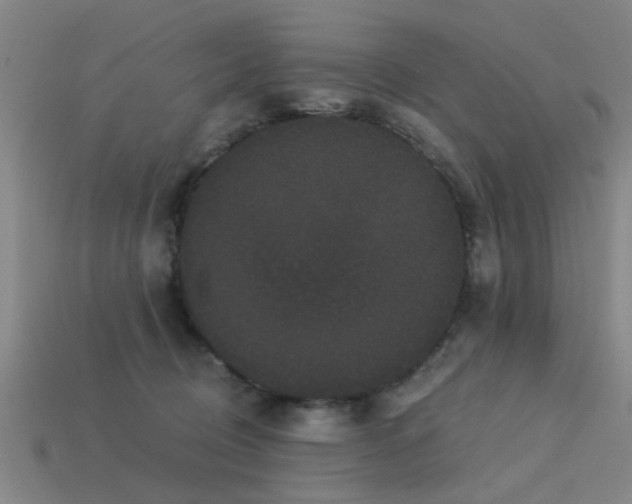 X0000113610370200909181424