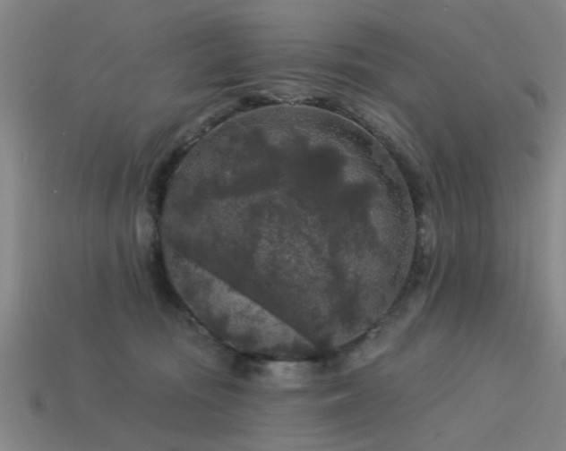 X0000113610371200909181424