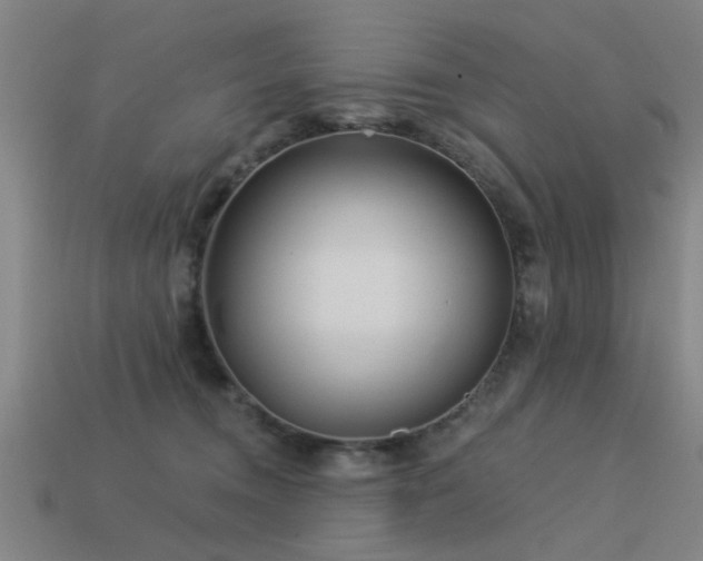 X0000113610372200909181424