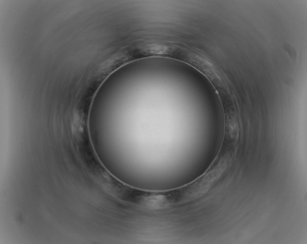 X0000113610374200909181424