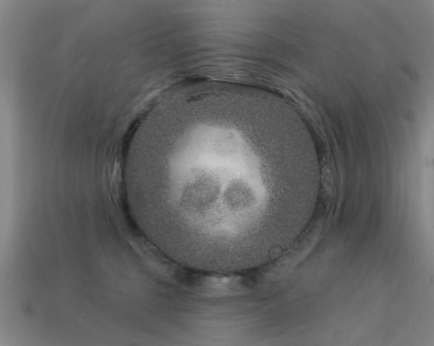 X0000113610375200909181424