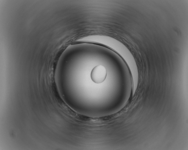 X0000113610376200909181424