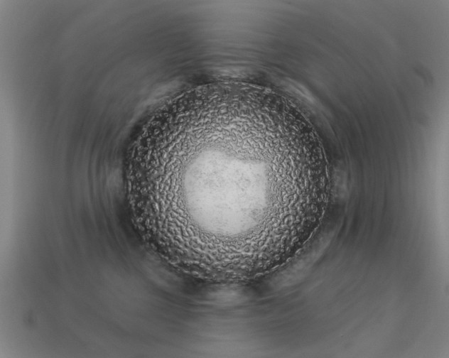 X0000113610377200909181424