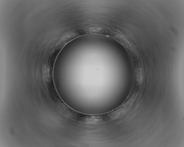 X0000113610378200909181424