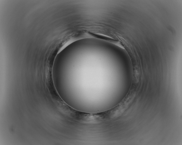 X0000113610379200909181424